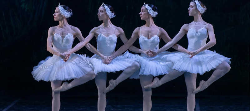 Teatro Colón abre inscrições para audição do Ballet Estável na temporada 2026 - Imagem do artigo